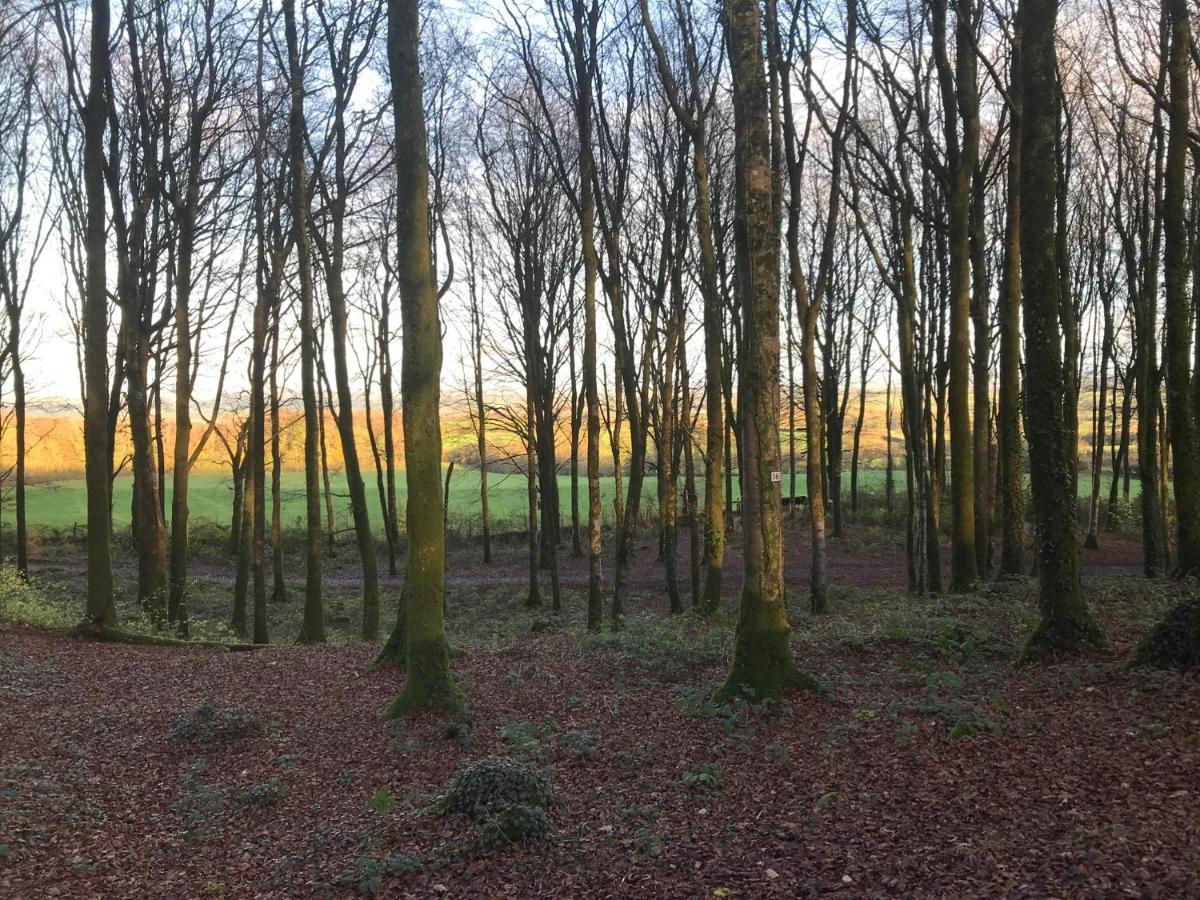Mullaghmeen Forest Mullingar Exterior photo