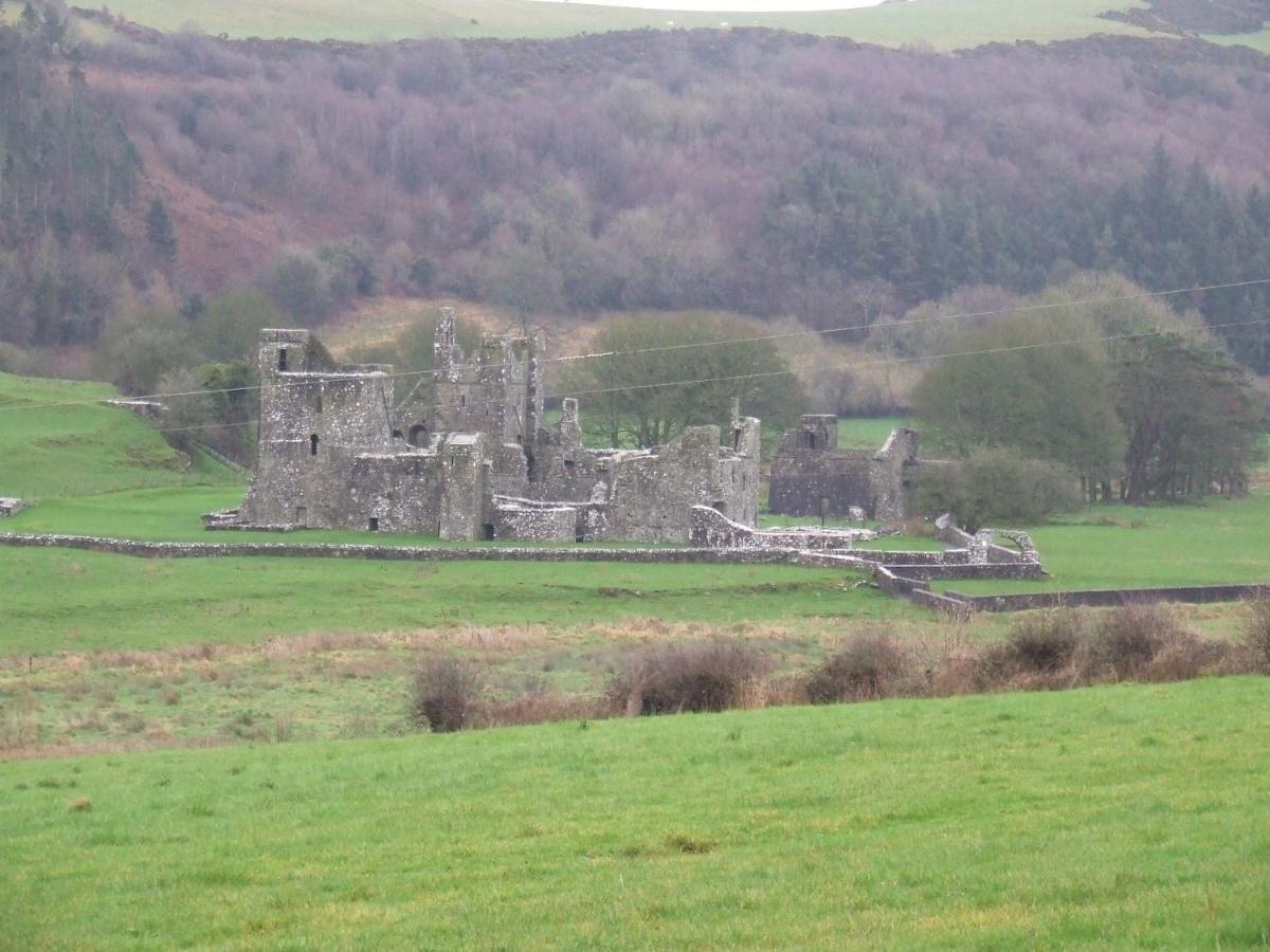 Mullaghmeen Forest Mullingar Exterior photo